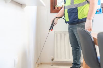 Ant Control Service in Denton, TX