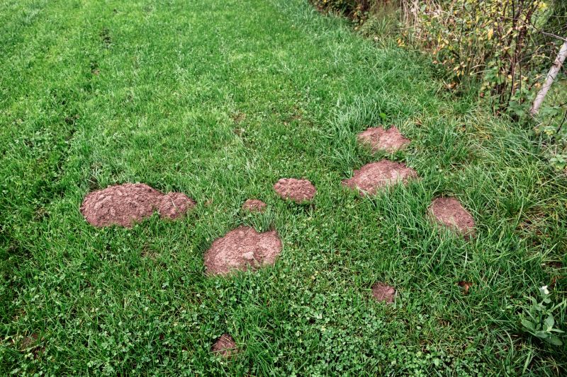 Mole-Free Lawns